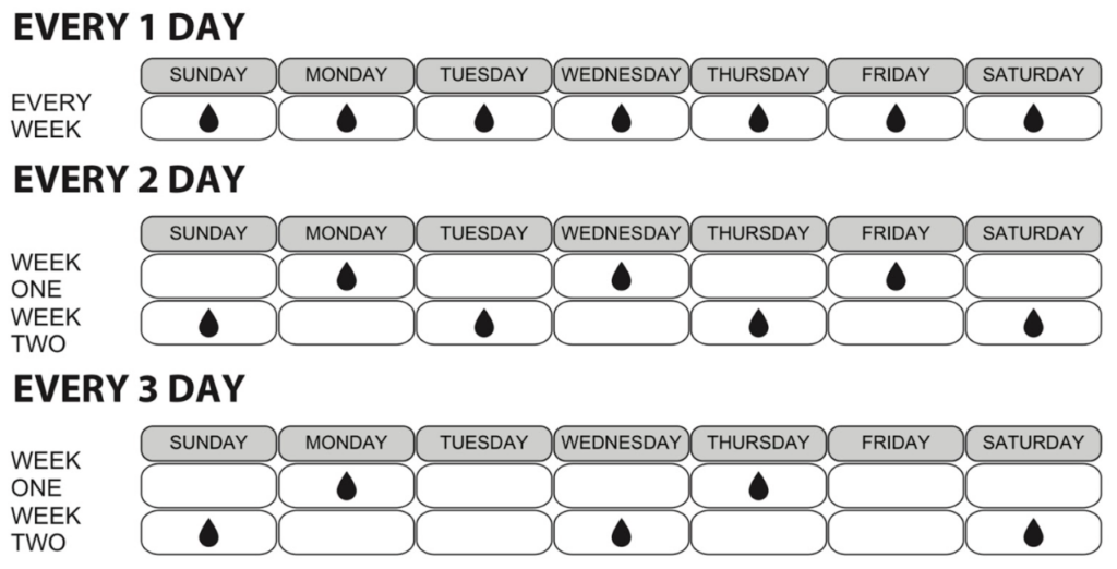ตัวอย่างของความถี่ในการรดน้ำทุก 1 วัน, ทุก 2 วัน, และ ทุก 3 วัน 